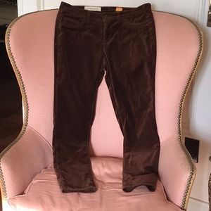 Pilcro and the Letterpress brown velvet pants